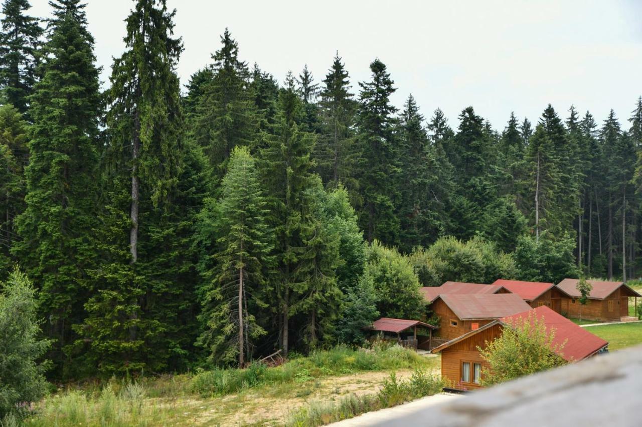 Apartamento Iglika 2, V9 Borovets Exterior foto